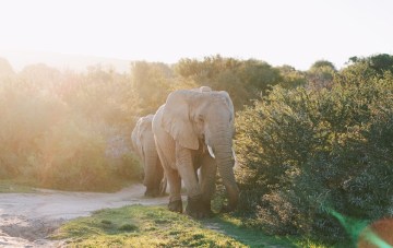 Why Our South African Honeymoon Was The Best Month Of My Life