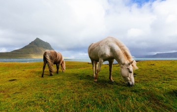 Iceland For Two, The Perfect Honeymoon Itinerary