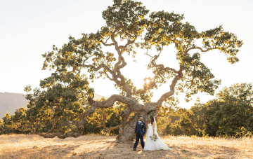 A Summery Multicultural Western & Indian Carmel Valley Wedding
